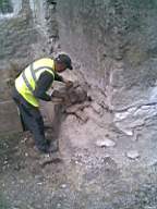 knockduff 11255.jpg