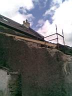 knockduff 11325.jpg