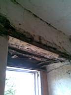 knockduff 11330.jpg