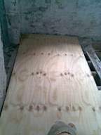 knockduff 11350.jpg