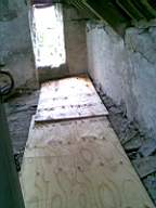 knockduff 11355.jpg