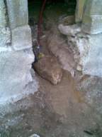 knockduff 11410.jpg