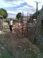 knockduff 11480.jpg