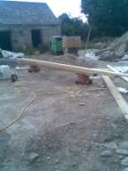 knockduff 11655.jpg