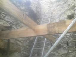 knockduff 11705.jpg