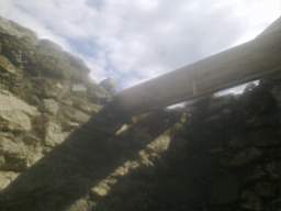 knockduff 11720.jpg
