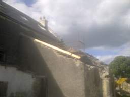 knockduff 11735.jpg