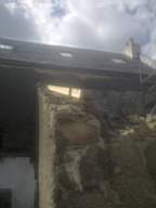 knockduff 11740.jpg