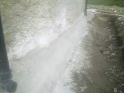 knockduff 11825.jpg