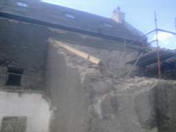 knockduff 11955.jpg