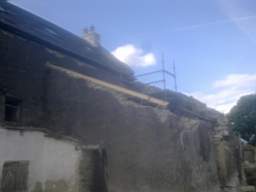 knockduff 11960.jpg