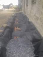 knockduff 11985.jpg