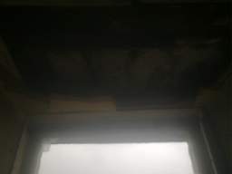knockduff 12020.jpg