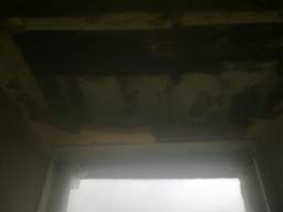 knockduff 12025.jpg