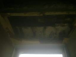 knockduff 12030.jpg