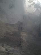 knockduff 12045.jpg