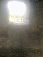 knockduff 12050.jpg