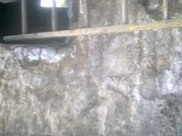 knockduff 12055.jpg