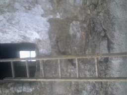 knockduff 12065.jpg
