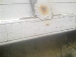 knockduff 12150.jpg