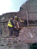 knockduff 12205.jpg
