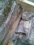 knockduff 12225.jpg