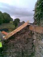 knockduff 12240.jpg