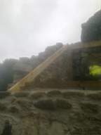 knockduff 12310.jpg