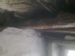 knockduff 12520.jpg