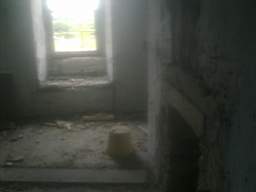 knockduff 12525.jpg