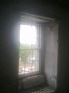 knockduff 12530.jpg