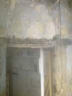 knockduff 12540.jpg
