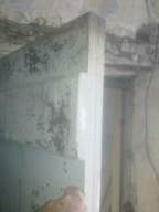 knockduff 12550.jpg