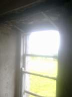 knockduff 12590.jpg