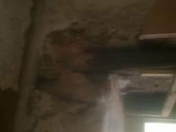 knockduff 12610.jpg