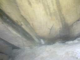 knockduff 12640.jpg