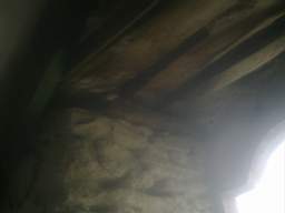 knockduff 12650.jpg