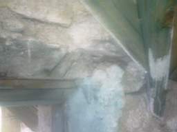 knockduff 12665.jpg