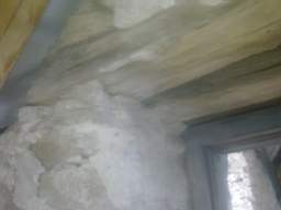 knockduff 12675.jpg