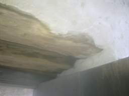 knockduff 12680.jpg