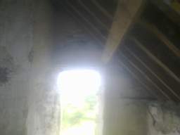 knockduff 12685.jpg