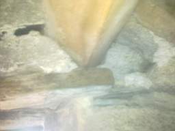 knockduff 12690.jpg