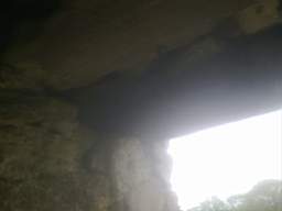 knockduff 12705.jpg