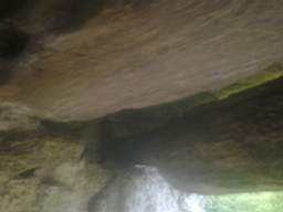 knockduff 12710.jpg