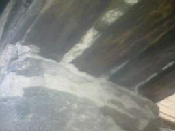 knockduff 12755.jpg
