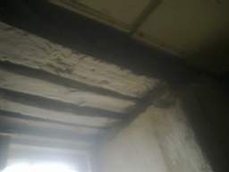 knockduff 12805.jpg