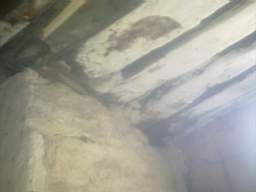 knockduff 12810.jpg