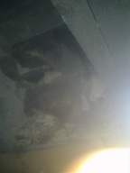 knockduff 12870.jpg