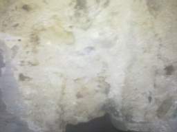 knockduff 12880.jpg