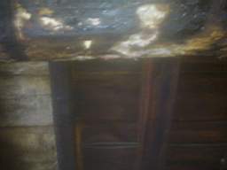 knockduff 12915.jpg